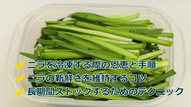 ニラの保存法と利点について